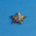 Magnet étoile Lourdes